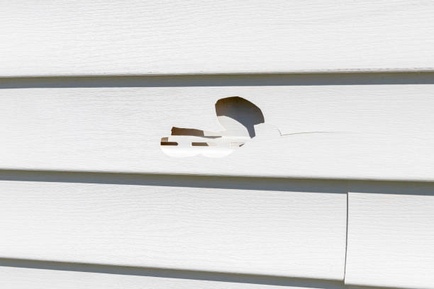 Best Insulated Siding Installation  in Minot Af, ND