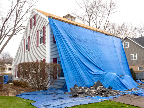 Best Stone Veneer Siding  in Minot Af, ND